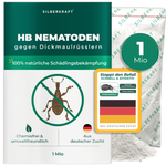 Nematodi HB contro punteruoli neri e larve - Silberkraft
