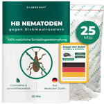 Nematodi HB contro punteruoli neri e larve - Silberkraft