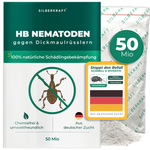 Nematodi HB contro punteruoli neri e larve - Silberkraft