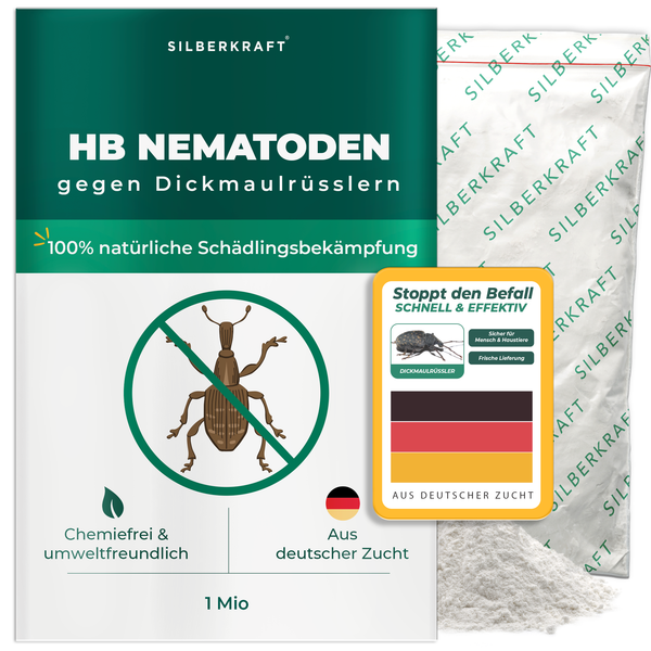 Nematodi HB contro punteruoli neri e larve - Silberkraft