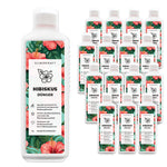 Concime per ibisco - concime liquido minerale NPK con azoto - concime per ibisco - concime marshmallow alla rosa - Silberkraft