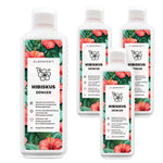 Concime per ibisco - concime liquido minerale NPK con azoto - concime per ibisco - concime marshmallow alla rosa - Silberkraft
