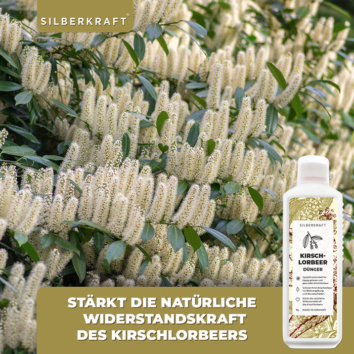 Concime per lauroceraso - Concime liquido minerale NPK con azoto - Concime per lauroceraso - Concime per lauroceraso