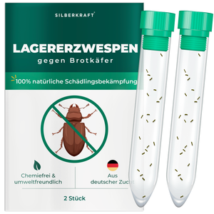 Lagererzwespen gegen Brotkäfer, Tabakkäfer, Kugelkäfer, Messingkäfer - Silberkraft