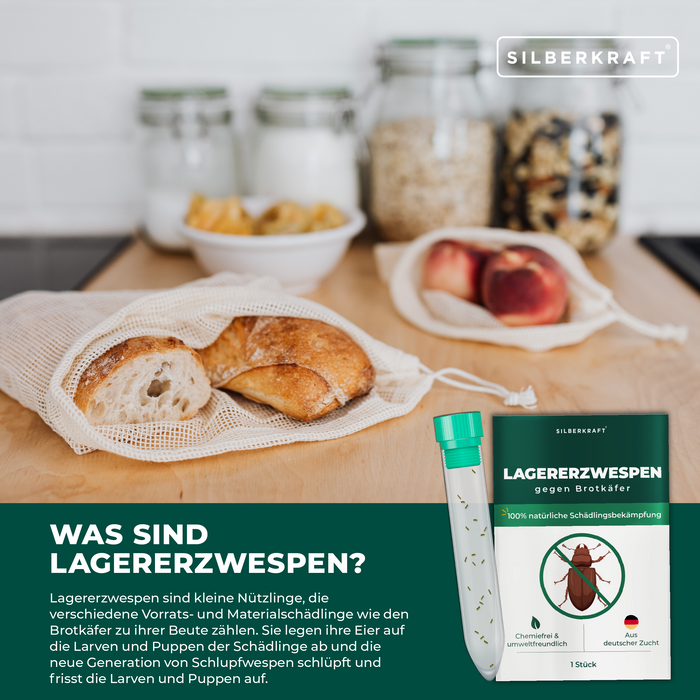 Vespe da campeggio contro coleotteri del pane, coleotteri del tabacco, coleotteri sferici, coleotteri d'ottone