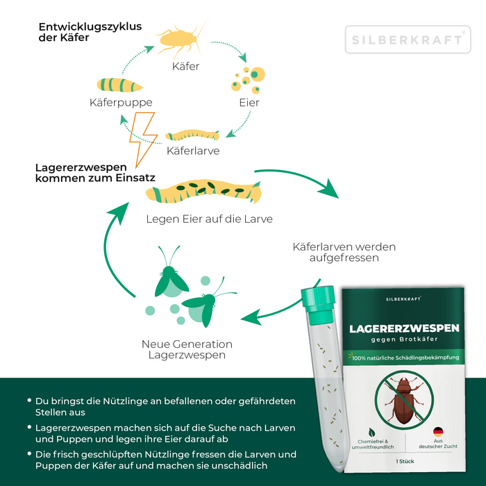 Vespe da campeggio contro coleotteri del pane, coleotteri del tabacco, coleotteri sferici, coleotteri d'ottone