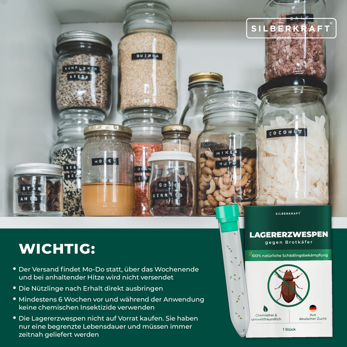 Vespe da campeggio contro coleotteri del pane, coleotteri del tabacco, coleotteri sferici, coleotteri d'ottone