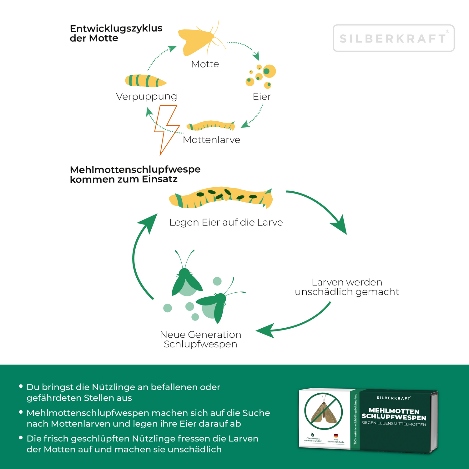 Problema e soluzione