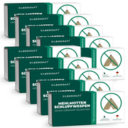 Vespe parassite delle tarme della farina - vespe parassite contro le tarme della farina