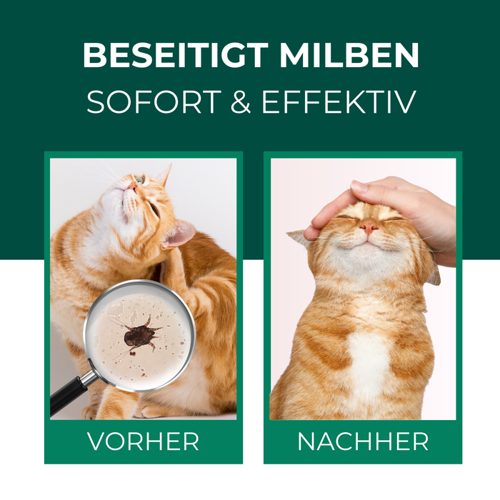 Vorher-Nachher-Bild einer Katze, das die Wirkung des Silberkraft Milbensprays gegen Milben demonstriert.