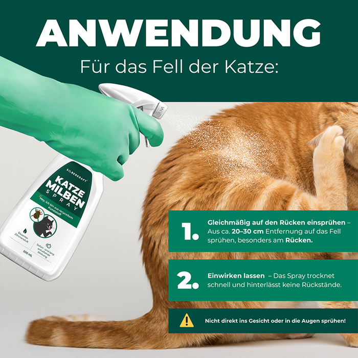 Nahaufnahme der Anwendung von Silberkraft Milbenspray auf das Fell einer Katze.