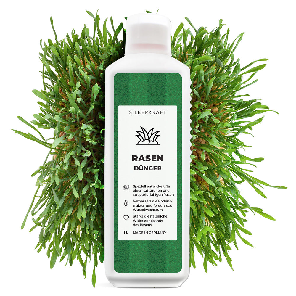 Problema e soluzione