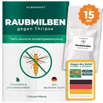 Raubmilben gegen Thripse für 15 m² Pflanzenfläche – Silberkraft