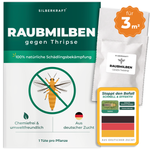 Raubmilben gegen Thripse für 3 m² Pflanzenfläche – Silberkraft