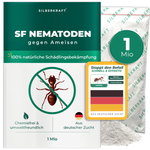 Nematodi SF contro le formiche - Silberkraft