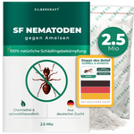 Nematodi SF contro le formiche - Silberkraft