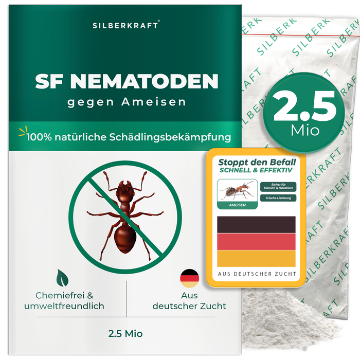 Nematodi SF contro le formiche - Silberkraft