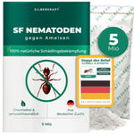 Nematodi SF contro le formiche - Silberkraft