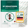 Nematodi SF contro le formiche