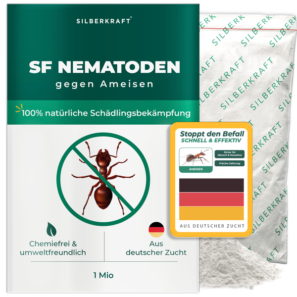 Nematodi SF contro le formiche - Silberkraft