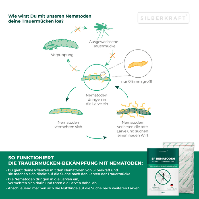 Nematodi SF per il controllo dei moscerini dei funghi per le piante d'appartamento