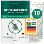Nematodi SF contro gli scarabei delle pulci - Silberkraft