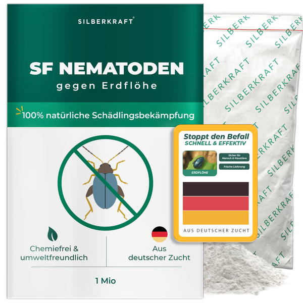Nematodi SF contro gli scarabei delle pulci - Silberkraft