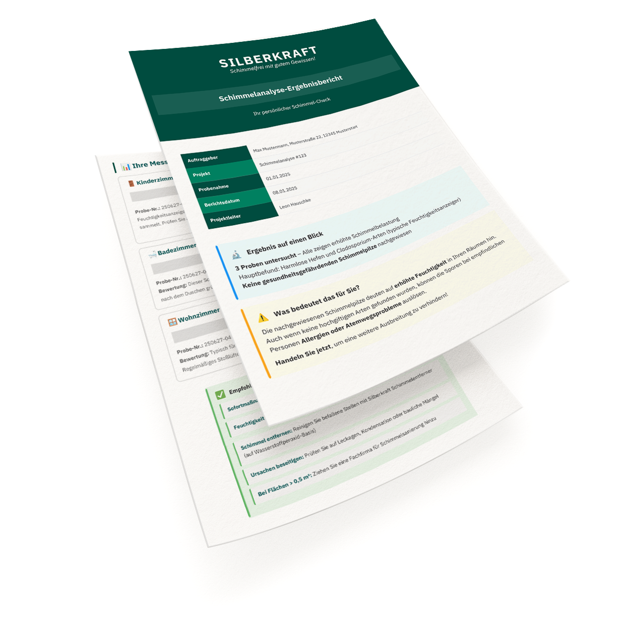 Set completo per test sulle muffe, inclusa analisi di laboratorio | Test a 3 vie per aria e superfici interne