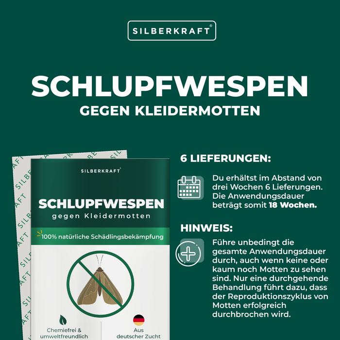 Ichneumon vespe contro le tarme dei vestiti