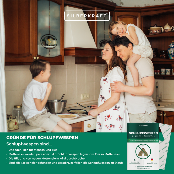 Ichneumon vespe contro le tarme dei vestiti