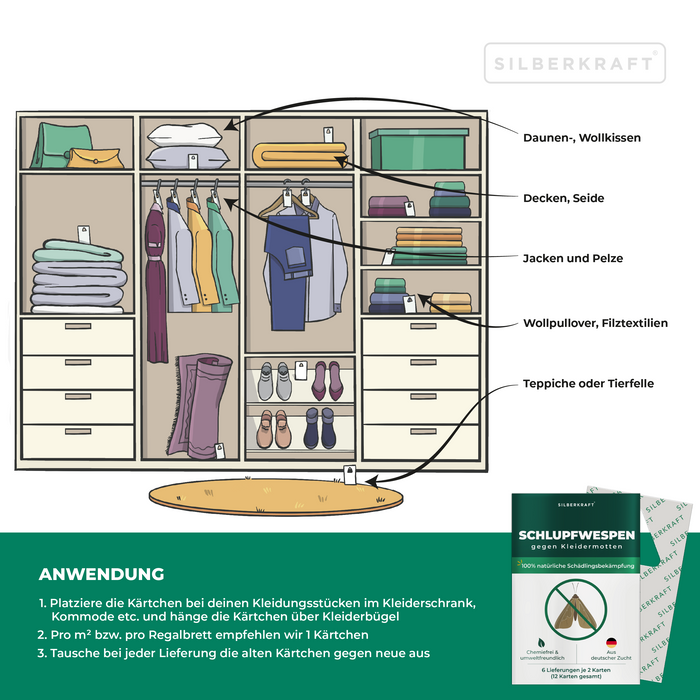 Ichneumon vespe contro le tarme dei vestiti