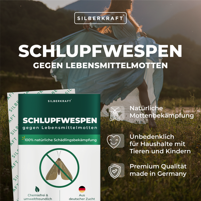 Ichneumon vespe contro le tarme alimentari