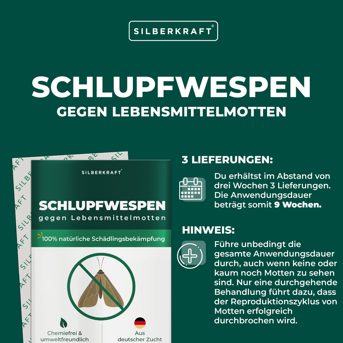 Ichneumon vespe contro le tarme alimentari