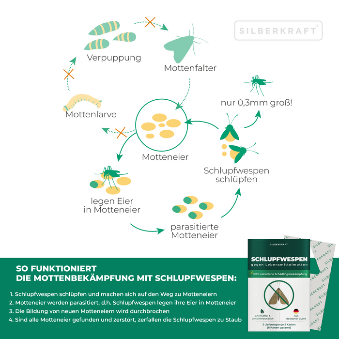 Ichneumon vespe contro le tarme alimentari