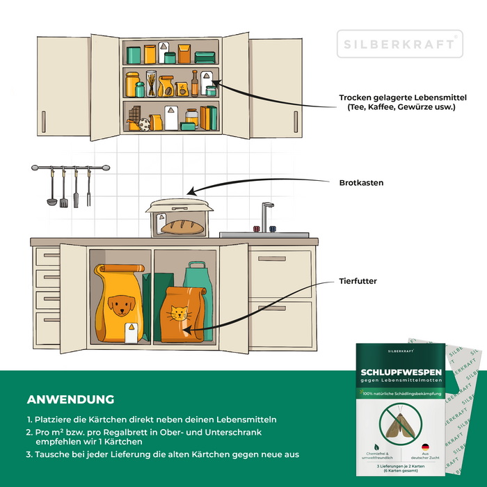 Ichneumon vespe contro le tarme alimentari