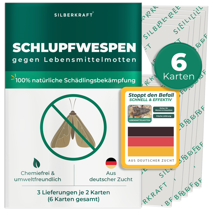 Ichneumon vespe contro le tarme alimentari