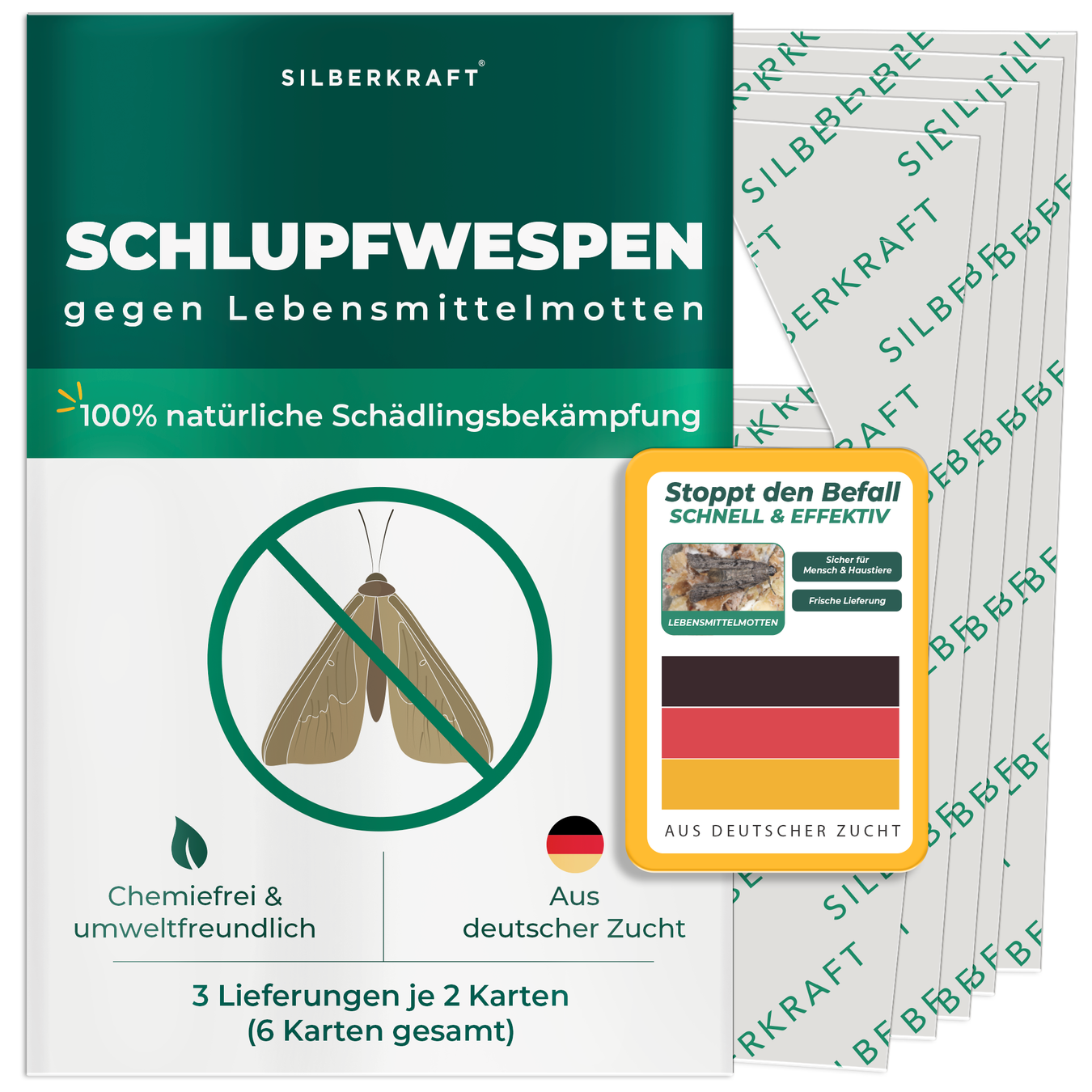 Ichneumon vespe contro le tarme