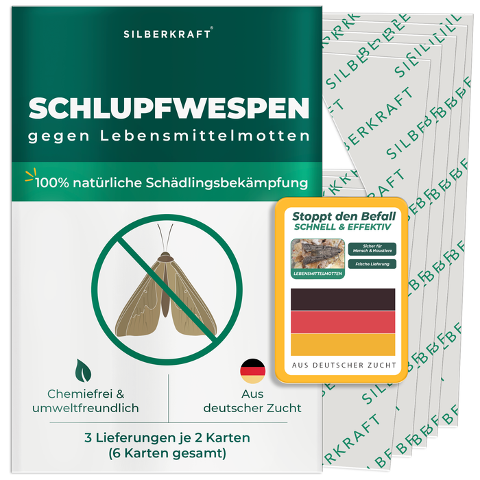 Ichneumon vespe contro le tarme alimentari