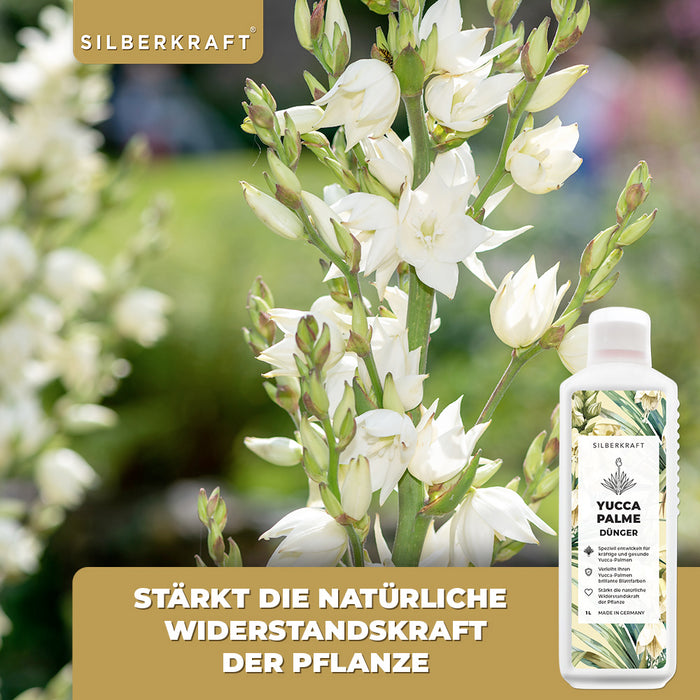 Fertilizzante per yucca - Fertilizzante liquido minerale NPK con azoto - Fertilizzante per palme di yucca - Fertilizzazione della yucca rostrata