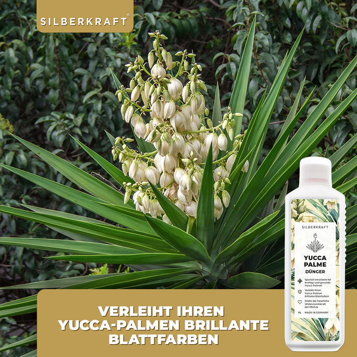 Fertilizzante per yucca - Fertilizzante liquido minerale NPK con azoto - Fertilizzante per palme di yucca - Fertilizzazione della yucca rostrata