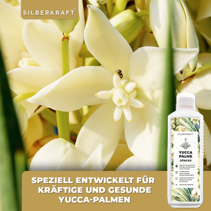 Fertilizzante per yucca - Fertilizzante liquido minerale NPK con azoto - Fertilizzante per palme di yucca - Fertilizzazione della yucca rostrata