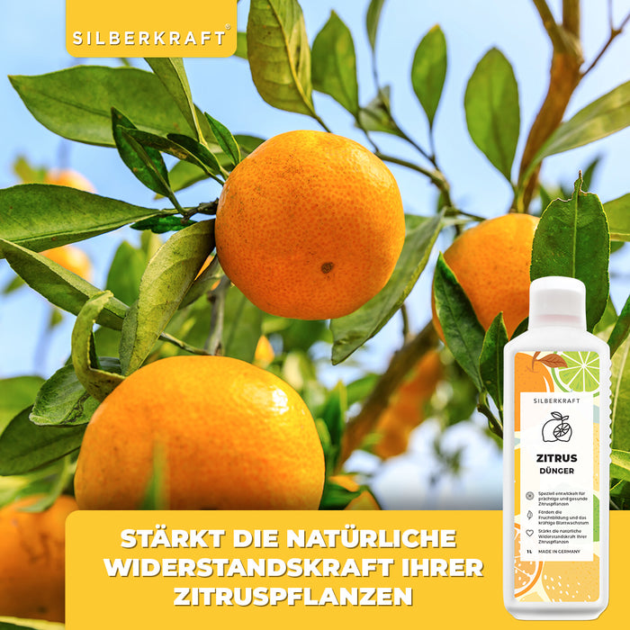 Concime per agrumi - Concime liquido minerale NPK con azoto - Concime per piante di agrumi - Concimazione per alberi di limone