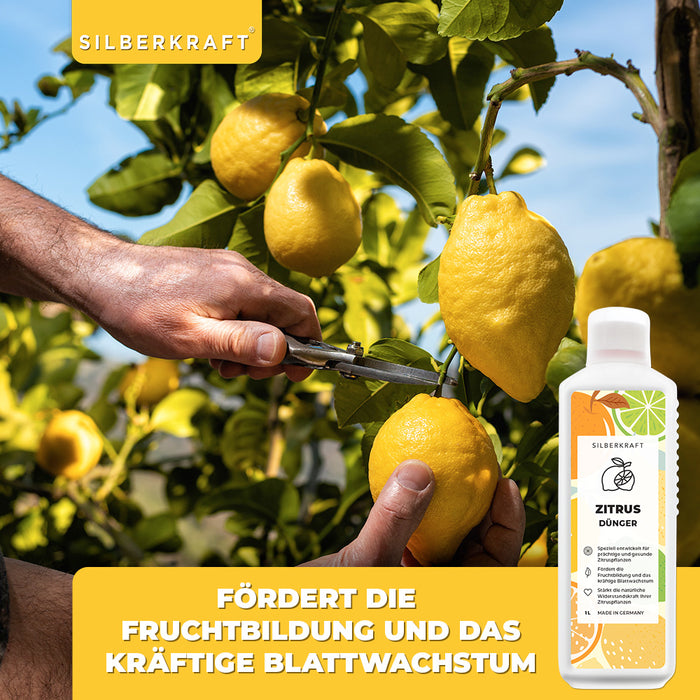 Concime per agrumi - Concime liquido minerale NPK con azoto - Concime per piante di agrumi - Concimazione per alberi di limone