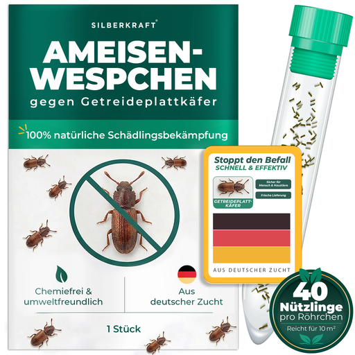 Ameisenwespchen - Cephalonomia tarsalis (CephiTop®) - Silberkraft