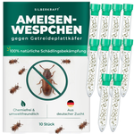 Ameisenwespchen - Cephalonomia tarsalis (CephiTop®) - Silberkraft
