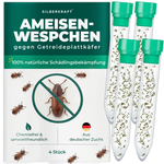 Ameisenwespchen - Cephalonomia tarsalis (CephiTop®) - Silberkraft