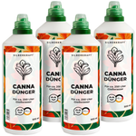 Fertilizzante per canna - fertilizzante liquido minerale NPK con azoto - fertilizzante per canna (canna da fiore) - fertilizzante per piante esotiche e da giardino - Silberkraft