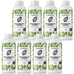 Fertilizzante Dieffenbachia - Silberkraft