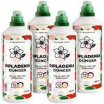 Concime per Dipladenia - Concime liquido minerale NPK con azoto - Concime per Dipladenia (Mandevilla) - Concime per balconi e piante rampicanti - Silberkraft