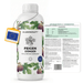 Fertilizzante per fichi - Silberkraft